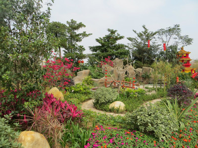 廣州園林博覽會 白云公園新春盛景，過年期間絕佳去處