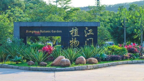 首屆杜阮羊肉美食節(jié)盛大啟動，融合美食與冰雪體驗